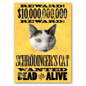 SchrodingersCat
